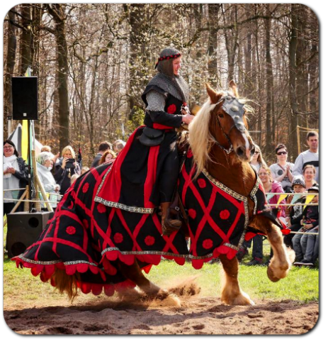 Ritter Gräfin von Brachina auf Pferd mit Wappenfahne